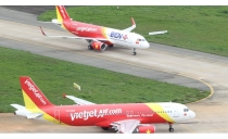 Đào, mai Tết bay cùng  VietJet Air